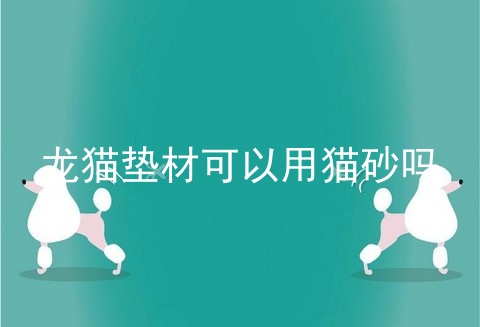 龙猫垫材可以用猫砂吗