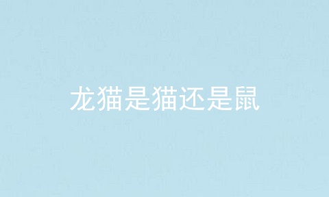 龙猫是猫还是鼠