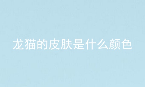 龙猫的皮肤是什么颜色
