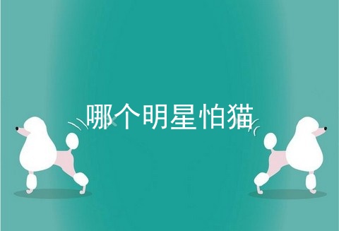 哪个明星怕猫