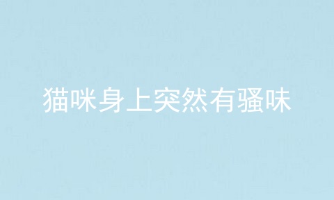 猫咪身上突然有骚味