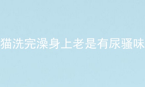 猫洗完澡身上老是有尿骚味