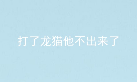 打了龙猫他不出来了