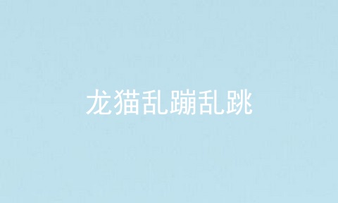 龙猫乱蹦乱跳