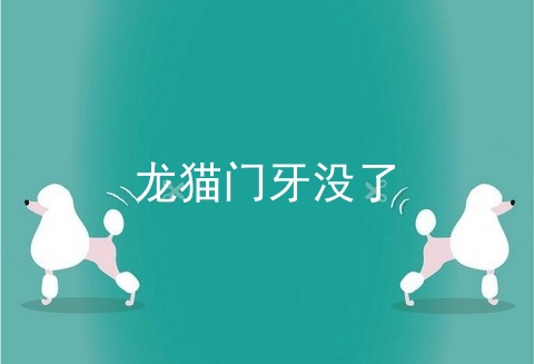 龙猫门牙没了
