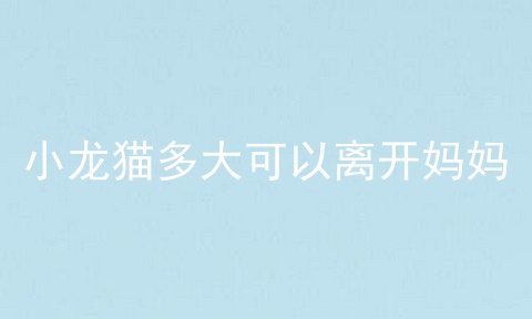 小龙猫多大可以离开妈妈