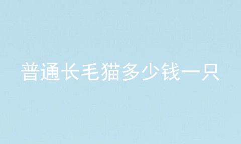 普通长毛猫多少钱一只