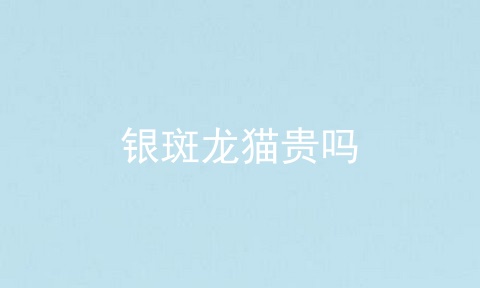 银斑龙猫贵吗