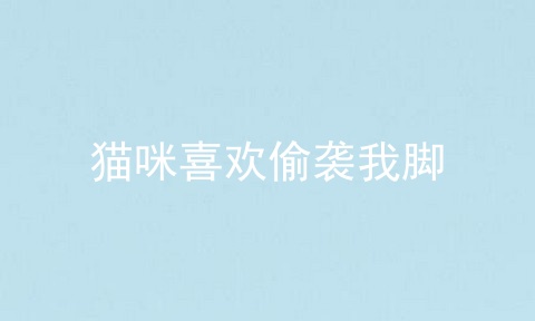 猫咪喜欢偷袭我脚