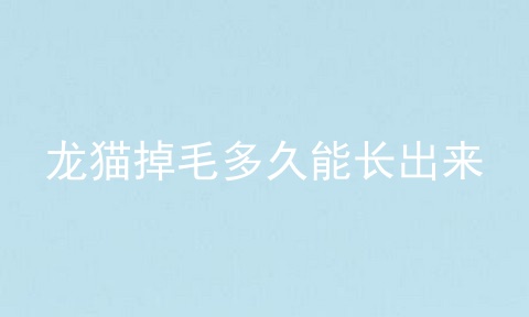 龙猫掉毛多久能长出来
