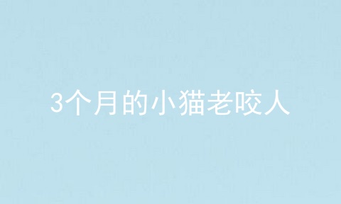 3个月的小猫老咬人