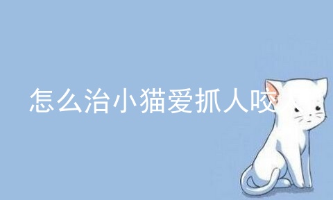怎么治小猫爱抓人咬人