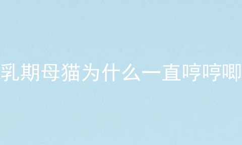 哺乳期母猫为什么一直哼哼唧唧