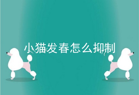 小猫发春怎么抑制
