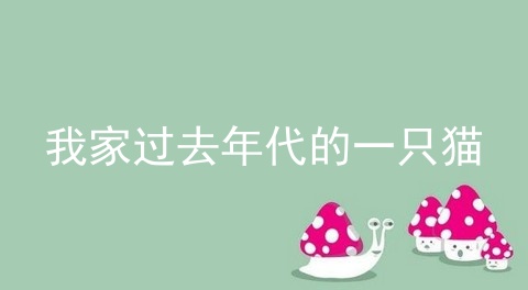 我家过去年代的一只猫
