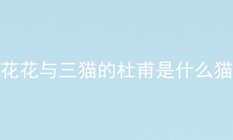 花花与三猫的杜甫是什么猫