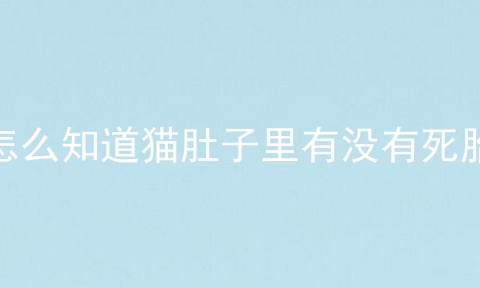 怎么知道猫肚子里有没有死胎
