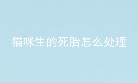 猫咪生的死胎怎么处理