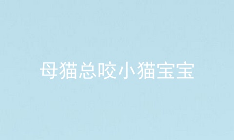 母猫总咬小猫宝宝