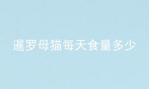 暹罗母猫每天食量多少