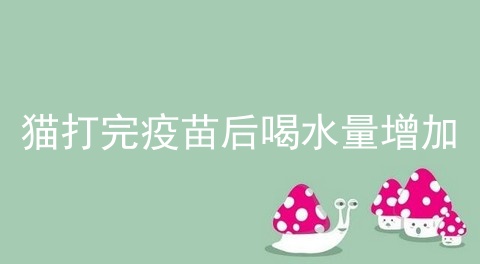 猫打完疫苗后喝水量增加