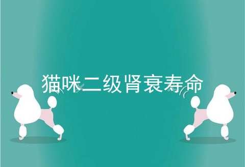 猫咪二级肾衰寿命