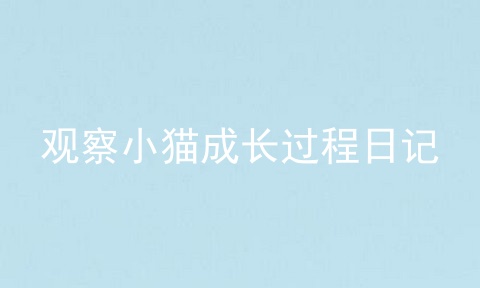观察小猫成长过程日记