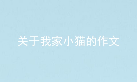 关于我家小猫的作文