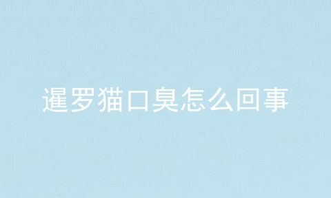 暹罗猫口臭怎么回事