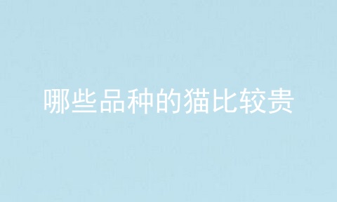 哪些品种的猫比较贵