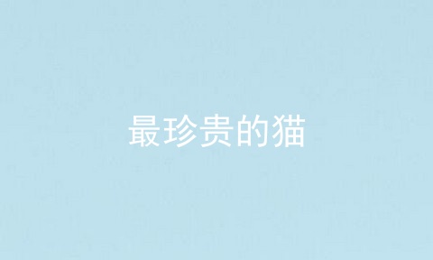 最珍贵的猫