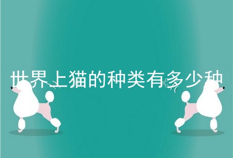 世界上猫的种类有多少种
