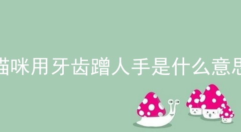 猫咪用牙齿蹭人手是什么意思