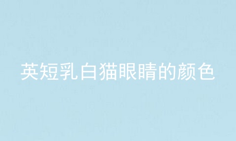 英短乳白猫眼睛的颜色