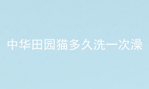 中华田园猫多久洗一次澡