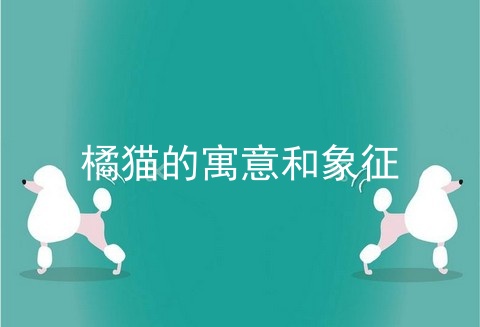 橘猫的寓意和象征