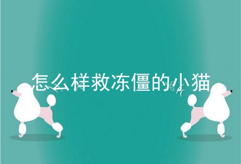怎么样救冻僵的小猫