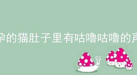 怀孕的猫肚子里有咕噜咕噜的声音
