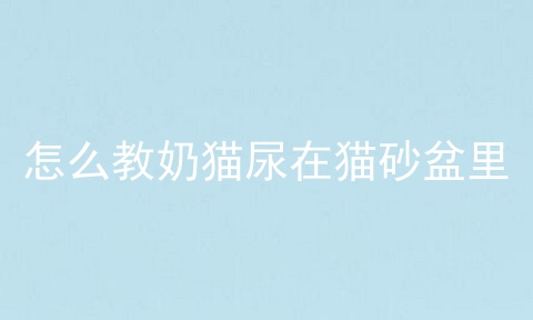 怎么教奶猫尿在猫砂盆里