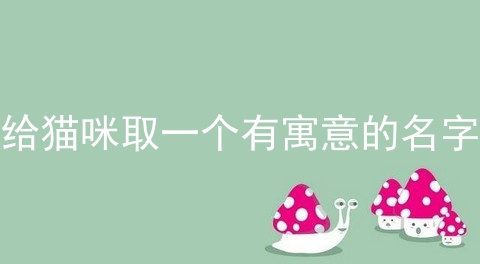 给猫咪取一个有寓意的名字