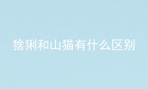 猞猁和山猫有什么区别