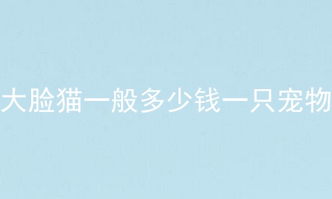 大脸猫一般多少钱一只宠物