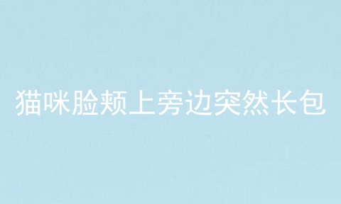 猫咪脸颊上旁边突然长包