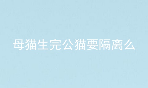 母猫生完公猫要隔离么