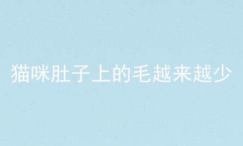 猫咪肚子上的毛越来越少