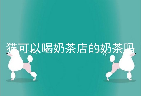 猫可以喝奶茶店的奶茶吗