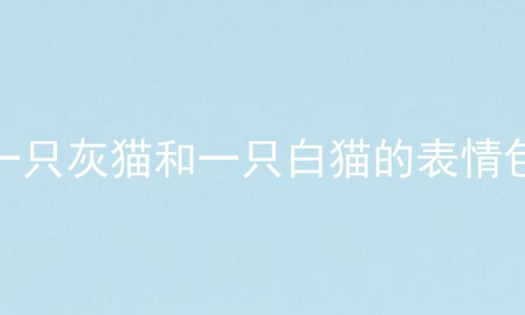 一只灰猫和一只白猫的表情包