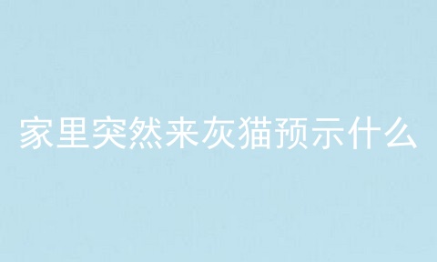 家里突然来灰猫预示什么