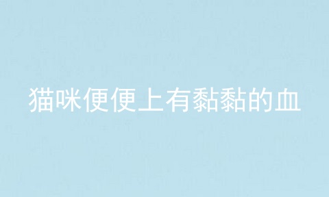 猫咪便便上有黏黏的血
