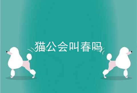 猫公会叫春吗